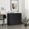 2-Drawer Lateral File Cabinet with Adjustable Hanging Bars for Home and Office