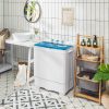 26 lbs Semi-Automatic Twin Tub Washing Machine with Drain Pump