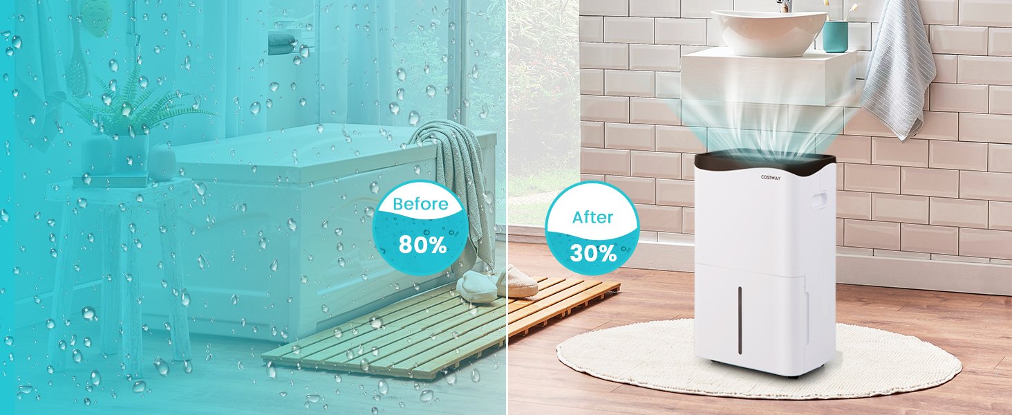 100_Pint_Dehumidifier_clear_water-3.jpg