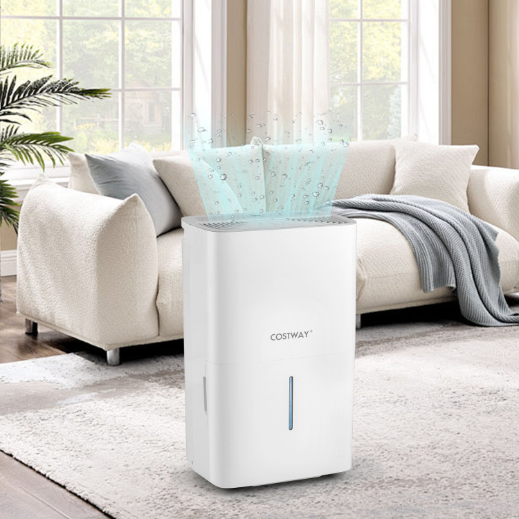 150_Pints_Dehumidifi_1759284501791000_422523.jpg