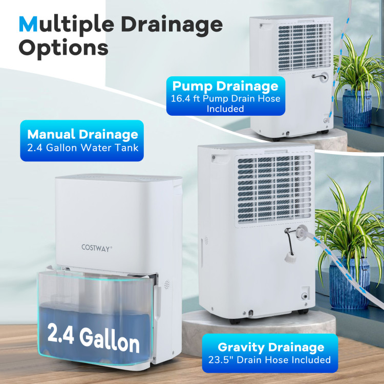 150_Pints_Dehumidifi_1759284504738634_694866.jpg