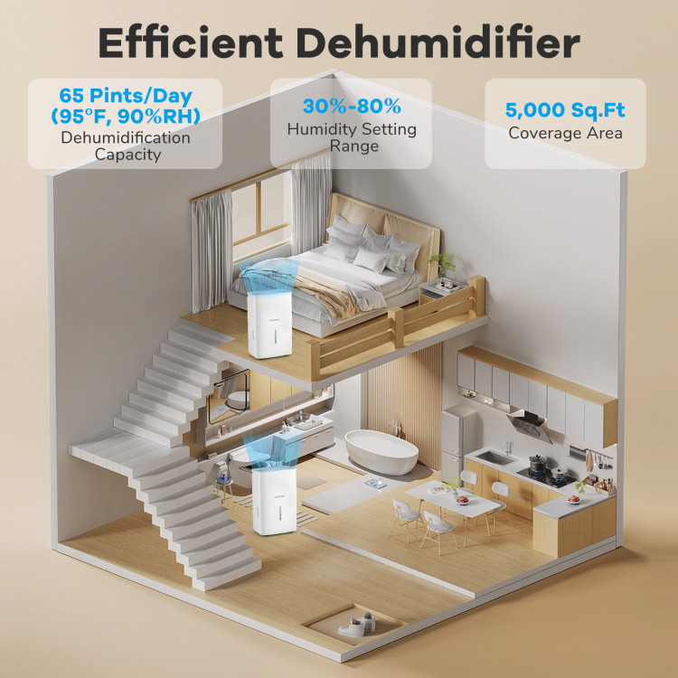 150_Pints_Dehumidifi_1759284509950883_747500.jpg