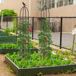 2-Pack Garden Obelisk Trellis for Climbing Plants