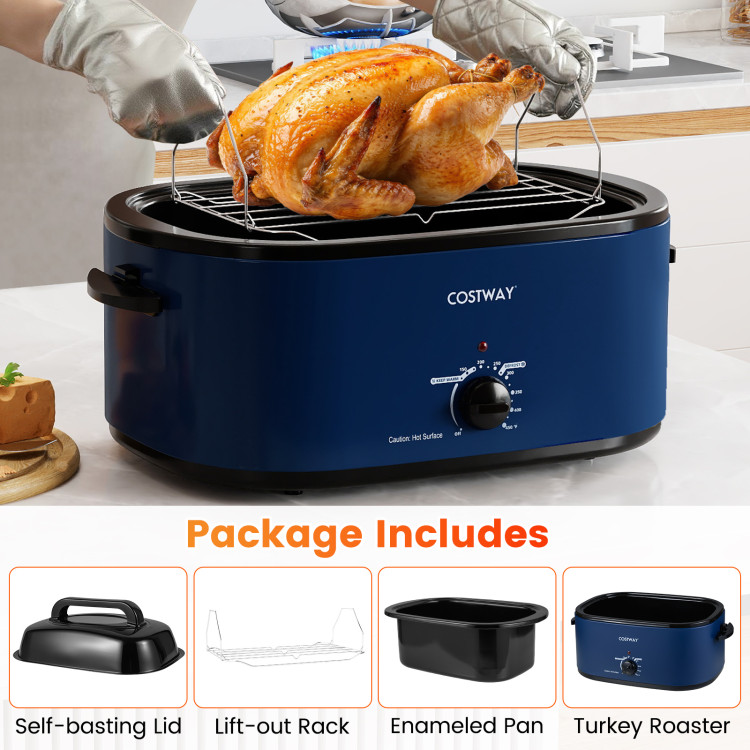 22QT_Electric_Roaste_1764061912159496_901938.jpg