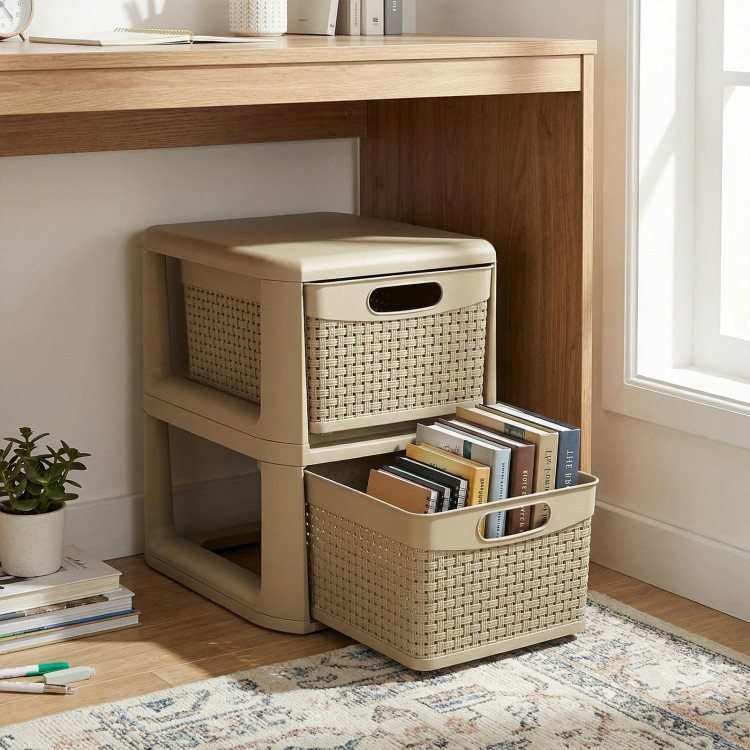 2_Drawer_Storage_Org_1775627732255101_951899.jpeg