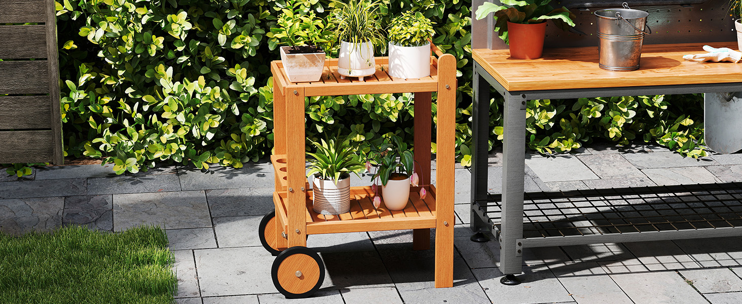 2_Tier_Rolling_Serving_Cart-6.jpg