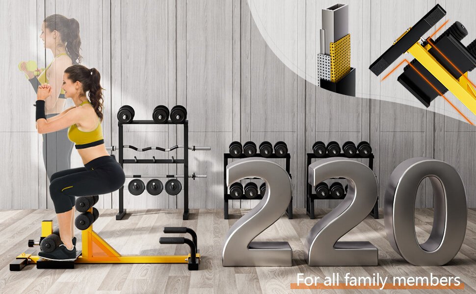 3-in-1_Sissy_Squat_Ab_Workout_Home_Gym_Sit-up_Machine2.jpg