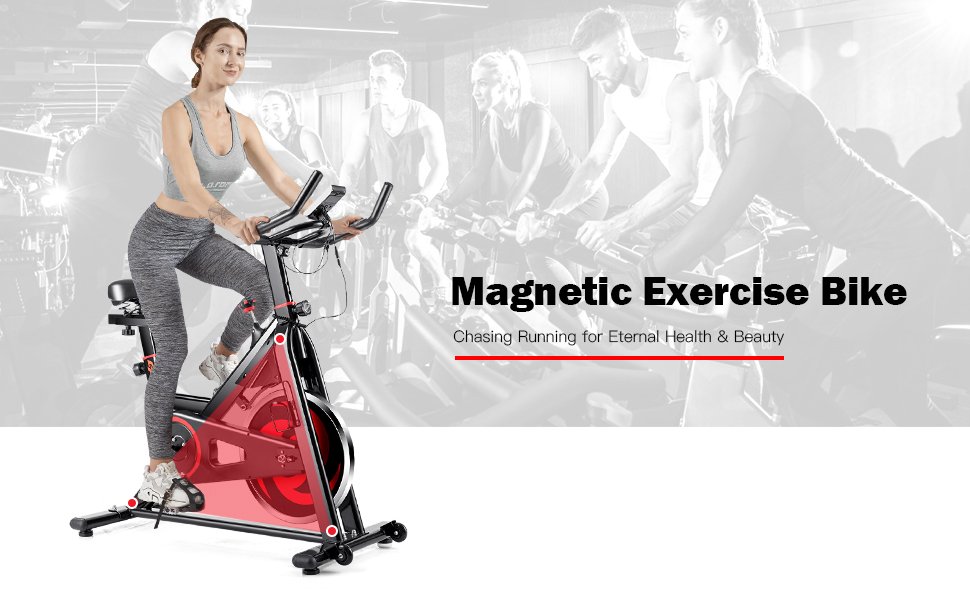30_lbs_Family_Fitness_Aerobic_Exercise_Magnetic_Bicycle1.jpg