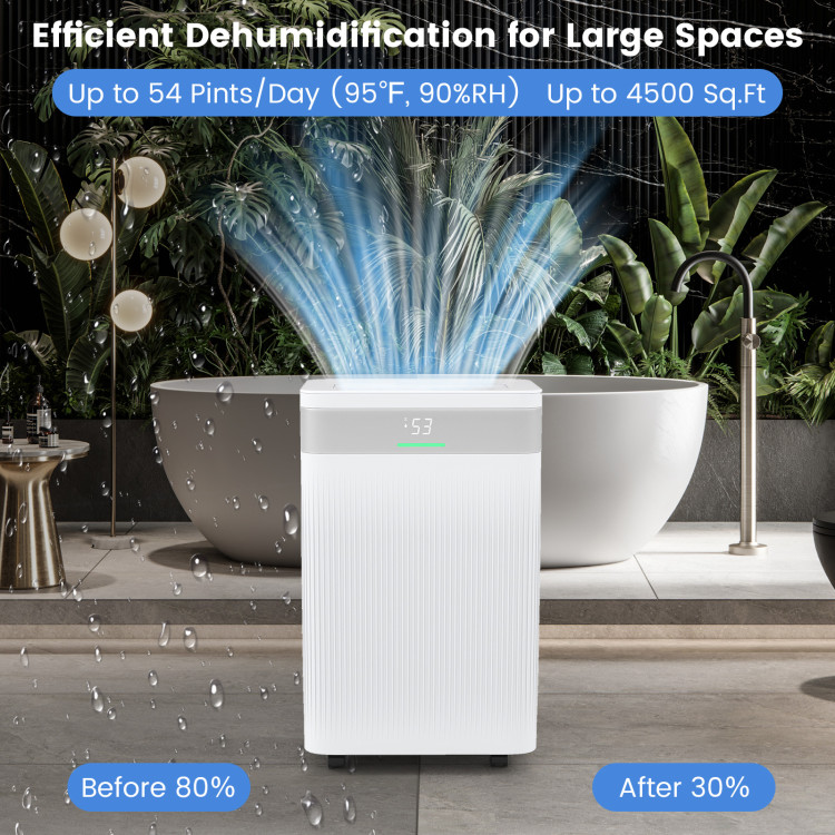54_Pints_Dehumidifie_1763109326074175_596782.jpg