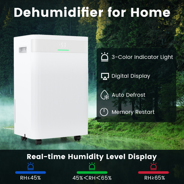 54_Pints_Dehumidifie_1763109327629046_878326.jpg