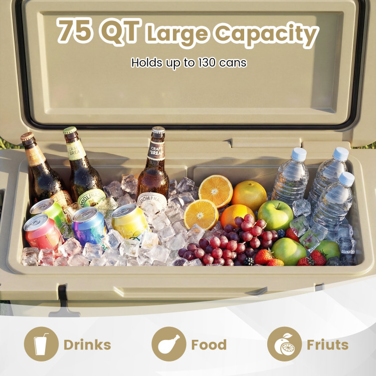 75_Quart_Portable_Ha_1768445181162280_507710.jpg