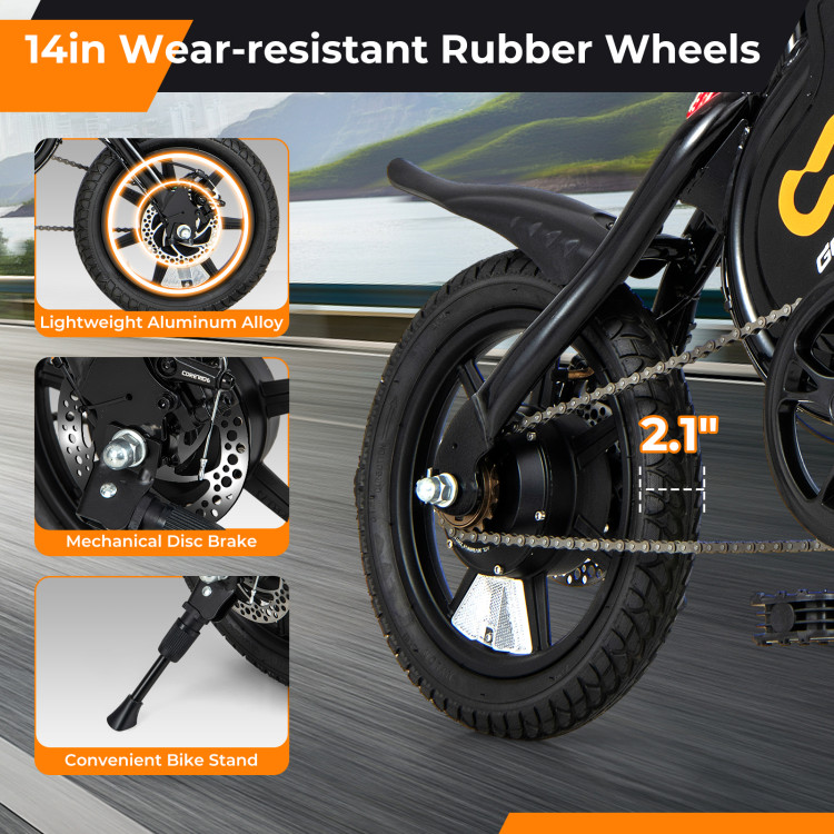 Electric_Bike-10.jpg
