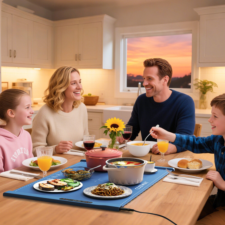 Food_Warming_Mat_Rol_1759900972744546_644502.jpg