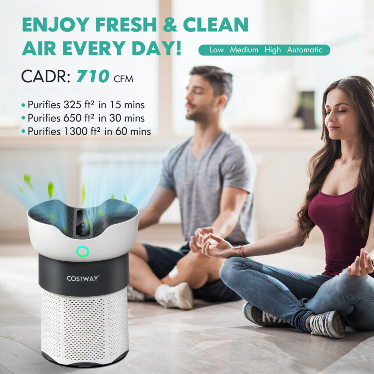 Large_Area_This_Air_Purifier_can_Work-9.jpg