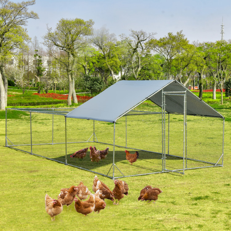 Large_Metal_Chicken_Coop-6.jpg