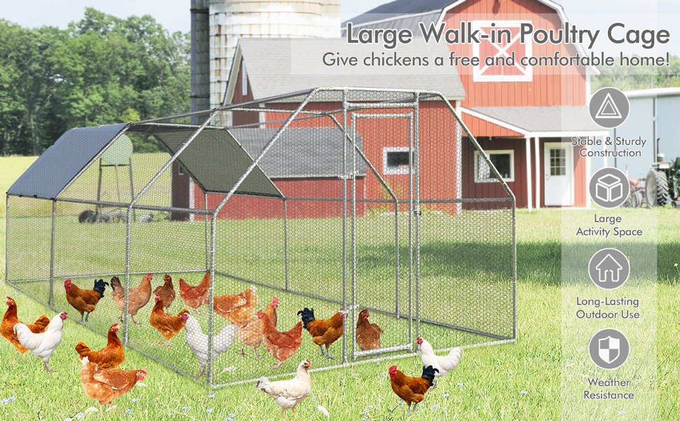 Large_Walk_In_Chicken_Run_Cage1.jpg