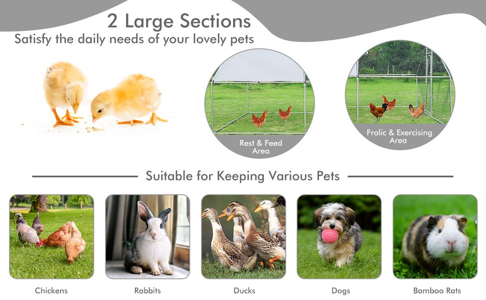 Large_Walk_In_Chicken_Run_Cage3.jpg