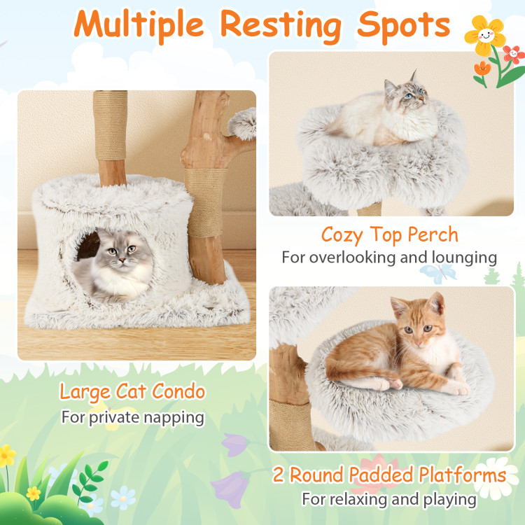 Modern_Cat_Tree_53_Inch_Tall_Natural_Branch_Wooden_Cat_Tower_White-7.jpg