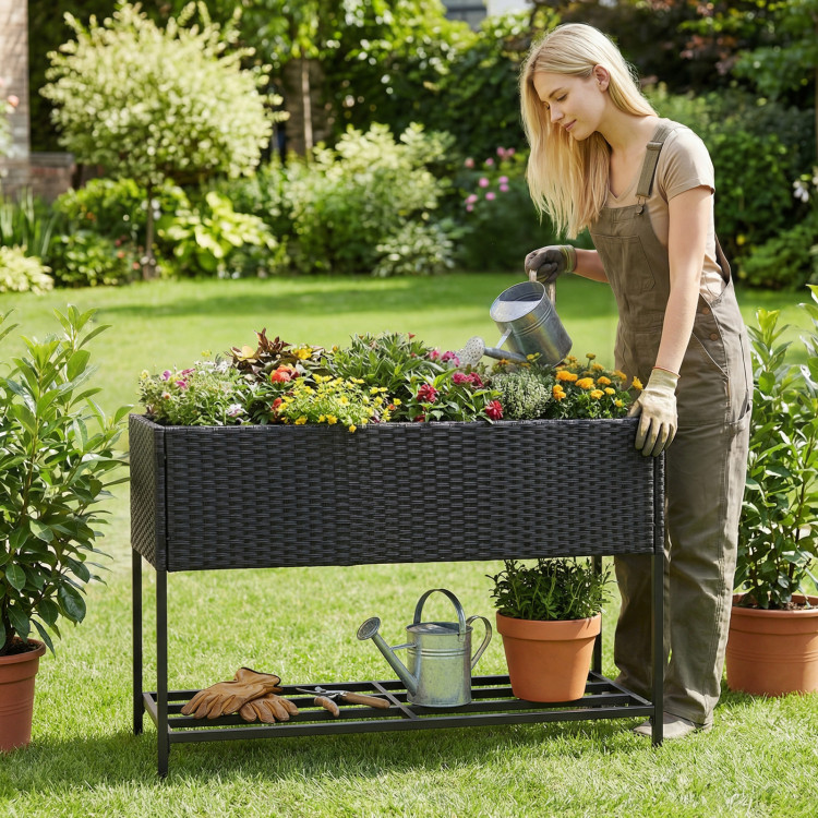 Raised_Wicker_Garden_1774410362553487_362138.jpeg