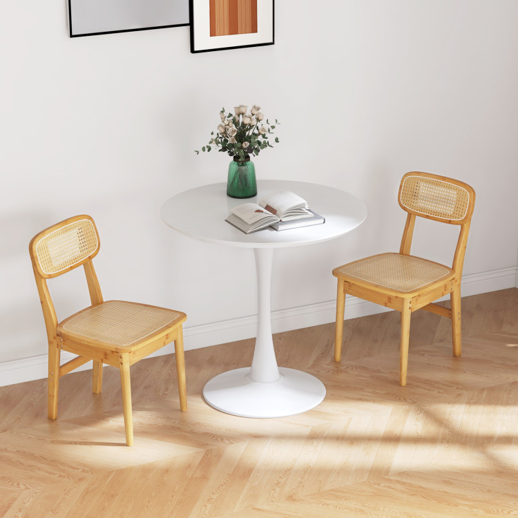 Rattan_Dining_Chairs_Set_of_2_with_Simulated_Rattan_Backrest-2.jpg