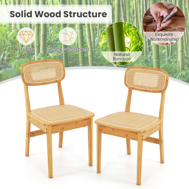 Rattan_Dining_Chairs_Set_of_2_with_Simulated_Rattan_Backrest-7.jpg