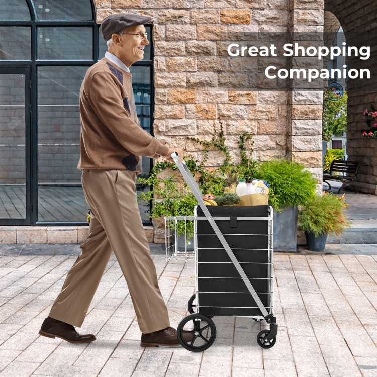 Silver_shopping_cart-2.jpg