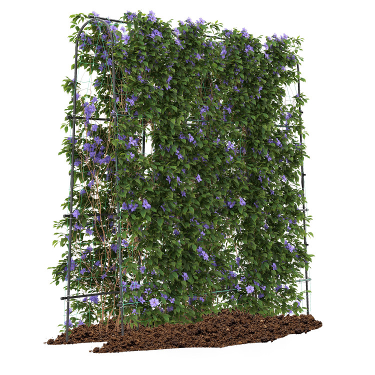 U-Shaped_Tall_Garden_Arched_Trellis-4.jpg