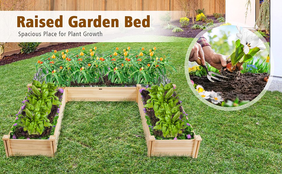 U-Shaped_Wooden_Garden_Raised_Bed_for_Backyard_and_Patio1.jpg