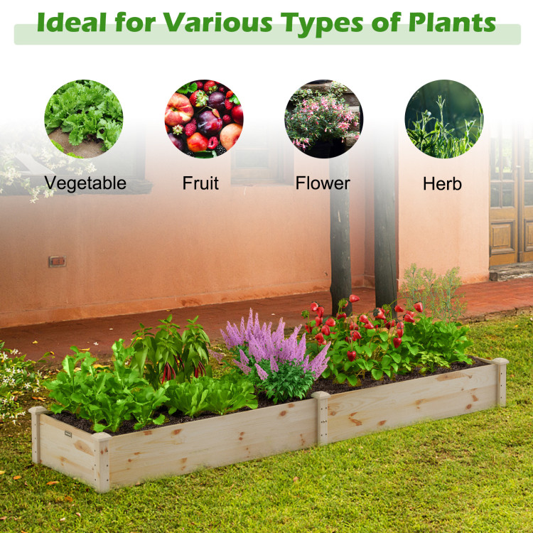 Wooden_Vegetable_Rai_1775009858968598_278551.jpeg