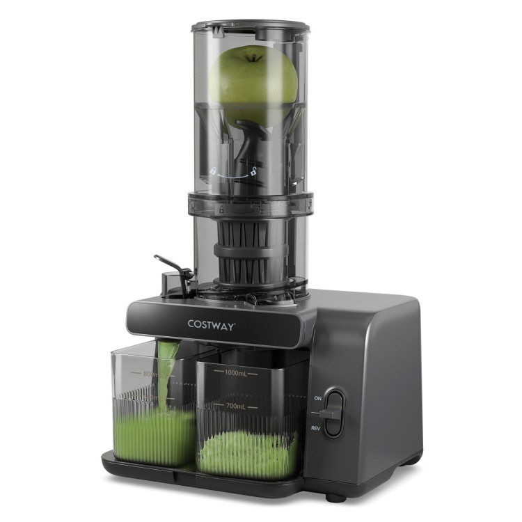 cold_press_juicer-2.jpg
