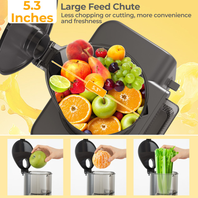 cold_press_juicer-4.jpg