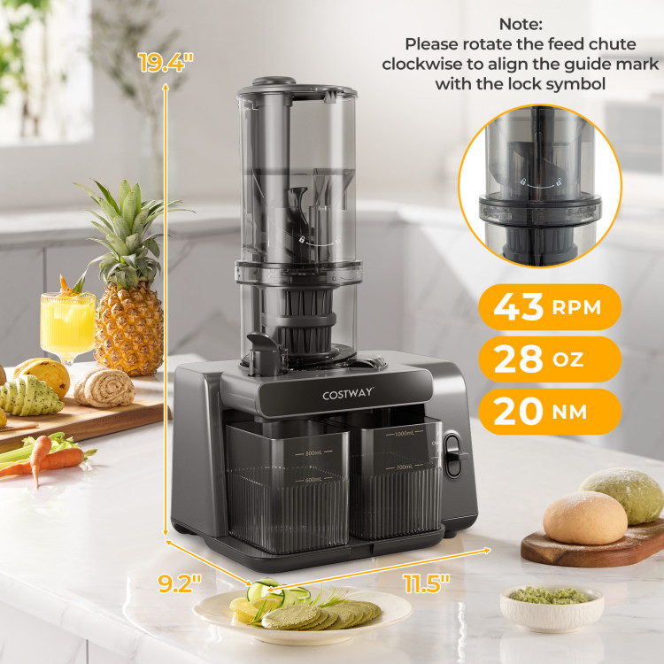 cold_press_juicer-size-3.jpg