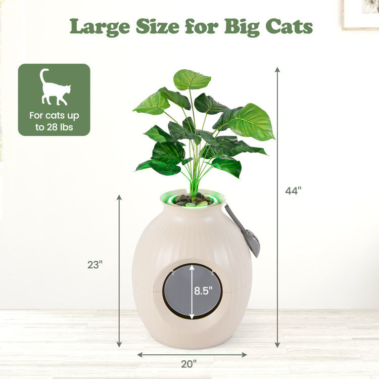 size-5-21.jpg