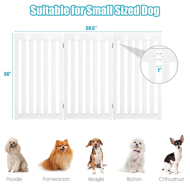 size_5_9.jpg