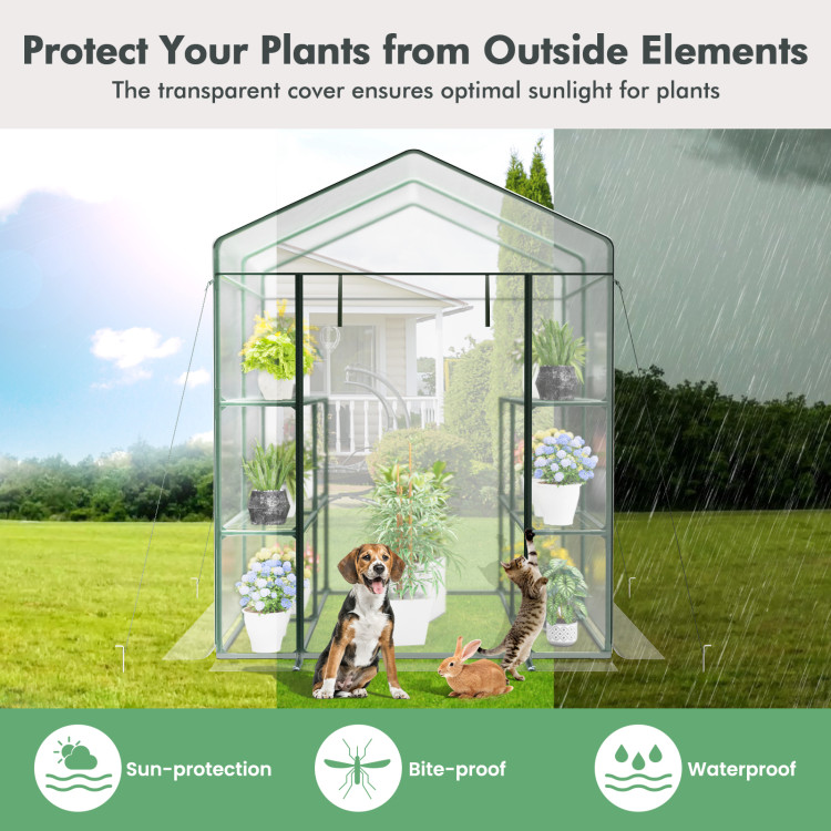 walk-in_greenhouse-2.jpg